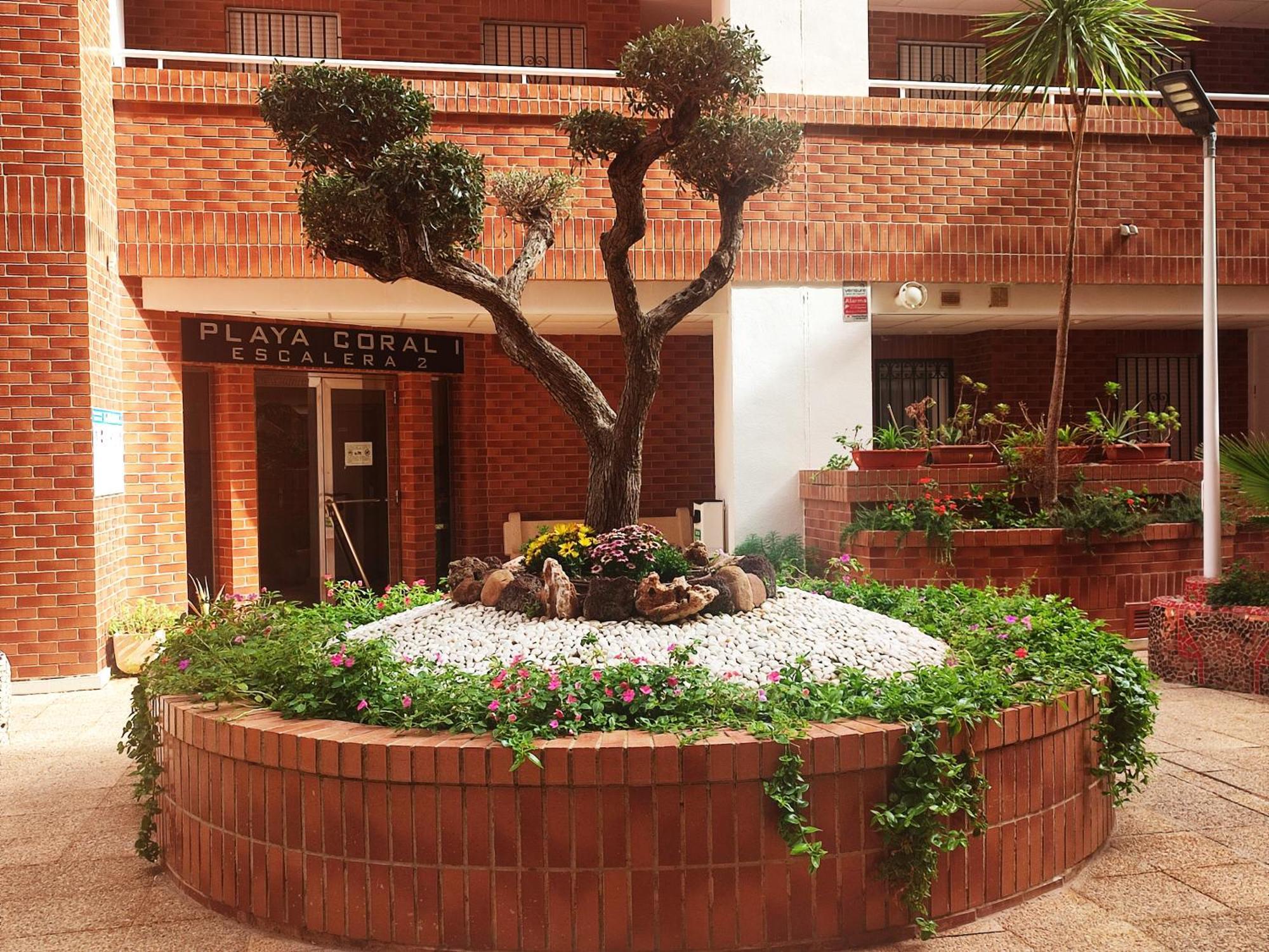 Apcostas Playa Coral - Costa Marfil Apartment